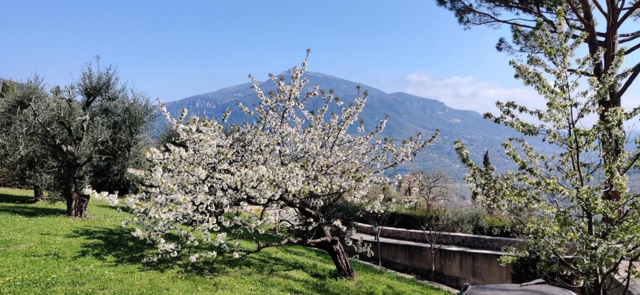 Le Bar-sur-Loup Loup Castel Boutique Hotel B&B المظهر الخارجي الصورة